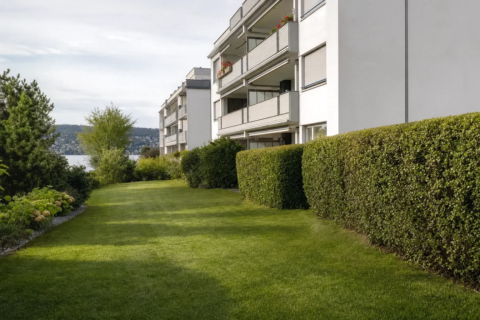 Frisch gemähter Rasen mit geschnittener Hecke